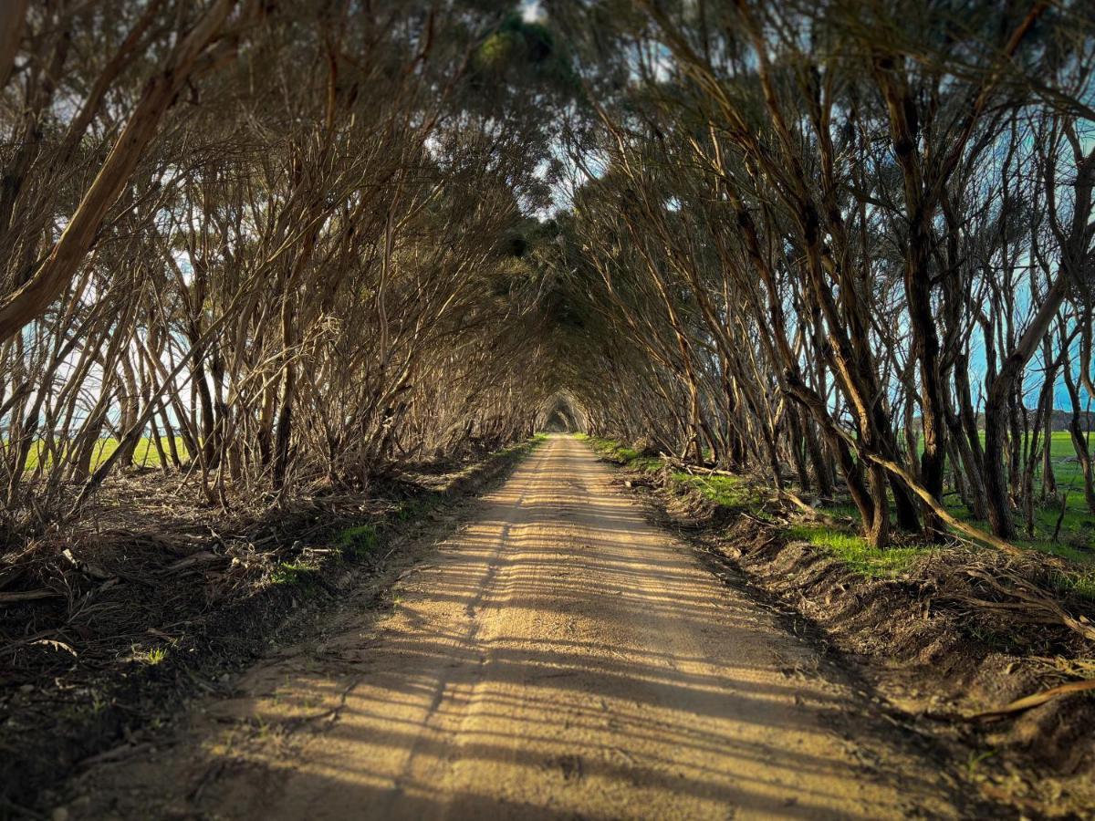 Cabn Kangaroo Island Penneshaw Eksteriør billede